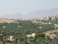 Blick auf Birkat Al Mauz