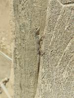 Besuch in Birkat Al Mauz