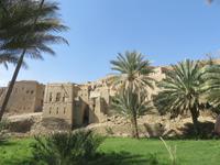 Besuch in Birkat Al Mauz