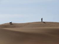 in der Wüste Wahiba Sands