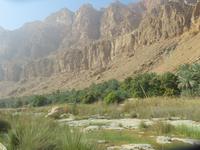 Stopp im Wadi Tiwi