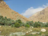Stopp im Wadi Tiwi