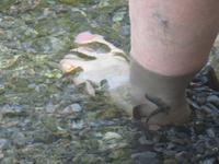 Besuch heißen Quellen von Ain Thowara - Putzerfische