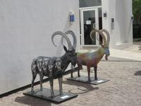 Besuch im Bait Al Zubair Museum