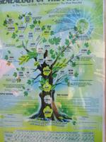 Ausflug ins Qara-Gebirge - Grab des Propheten Hiob - Stammbaum