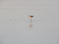 Salalah - Sonnenuntergang am Strand