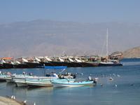 Ausflug in den Osten Dhofars - Mirbat -