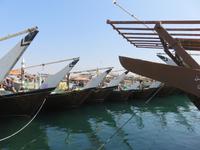 Ausflug in den Osten Dhofars - Mirbat - Hafen