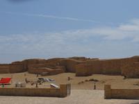 Ausflug in den Osten Dhofars - UNESCO-Weltkulturerbe Sumhuram