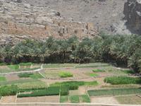 Wadi Guhl