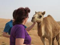 Wahiba Sands - auch das linke Ohr kraulen