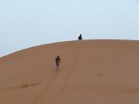 ... unsere Fahrer flüchten