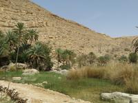 Wadi Bani Kahlid