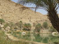 Wadi Bani Kahlid