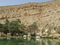 Wadi Bani Kahlid