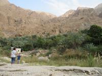 Wadi Tiwi