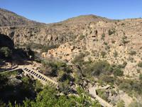 037 Jebel Akhdar - Wadi Bani Habib