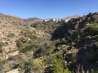 038 Jebel Akhdar - Wadi Bani Habib