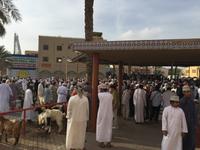 076 Freitagsmarkt Nizwa