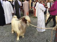 080 Freitagsmarkt Nizwa