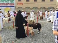 081 Freitagsmarkt Nizwa
