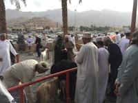 087 Freitagsmarkt Nizwa