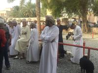 093 Freitagsmarkt Nizwa