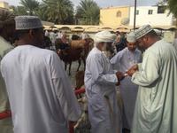 094 Freitagsmarkt Nizwa