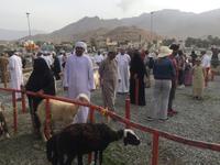 097 Freitagsmarkt Nizwa