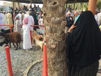 099 Freitagsmarkt Nizwa