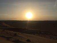 132 Wüstentour Wahiba Sands