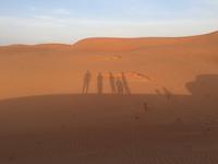 133 Wüstentour Wahiba Sands