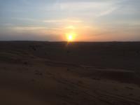 138 Wüstentour Wahiba Sands