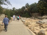 151 Wadi Bani Khalid