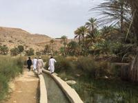 152 Wadi Bani Khalid