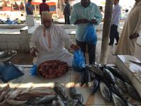 Fischmarkt in Barka