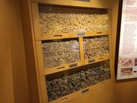 Museum des Weihrauchlandes in Salalah