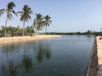 Ausgrabungsstätte Al Balid Salalah