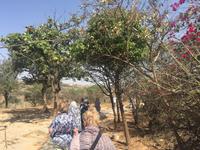 Grab des Propheten Hiob