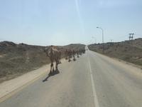 unterwegs in West-Salalah