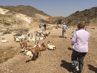 unterwegs im Weihrauchland