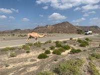 Tradition und Moderne...