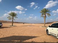 Wahiba Sands - Am Camp