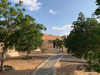 Wahiba Sands - Wüstencamp