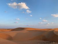 Wahiba Sands - Wüstenimpressionen