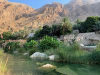 Wadi Tiwi