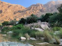 Wadi Tiwi