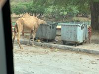 Hunger und Neugier sind Motivation genug