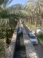 050 Oase Birkat Al Mauz (Bananensee)