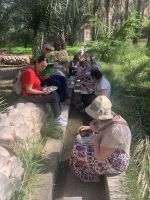 057 Oase Birkat Al Mauz (Bananensee)